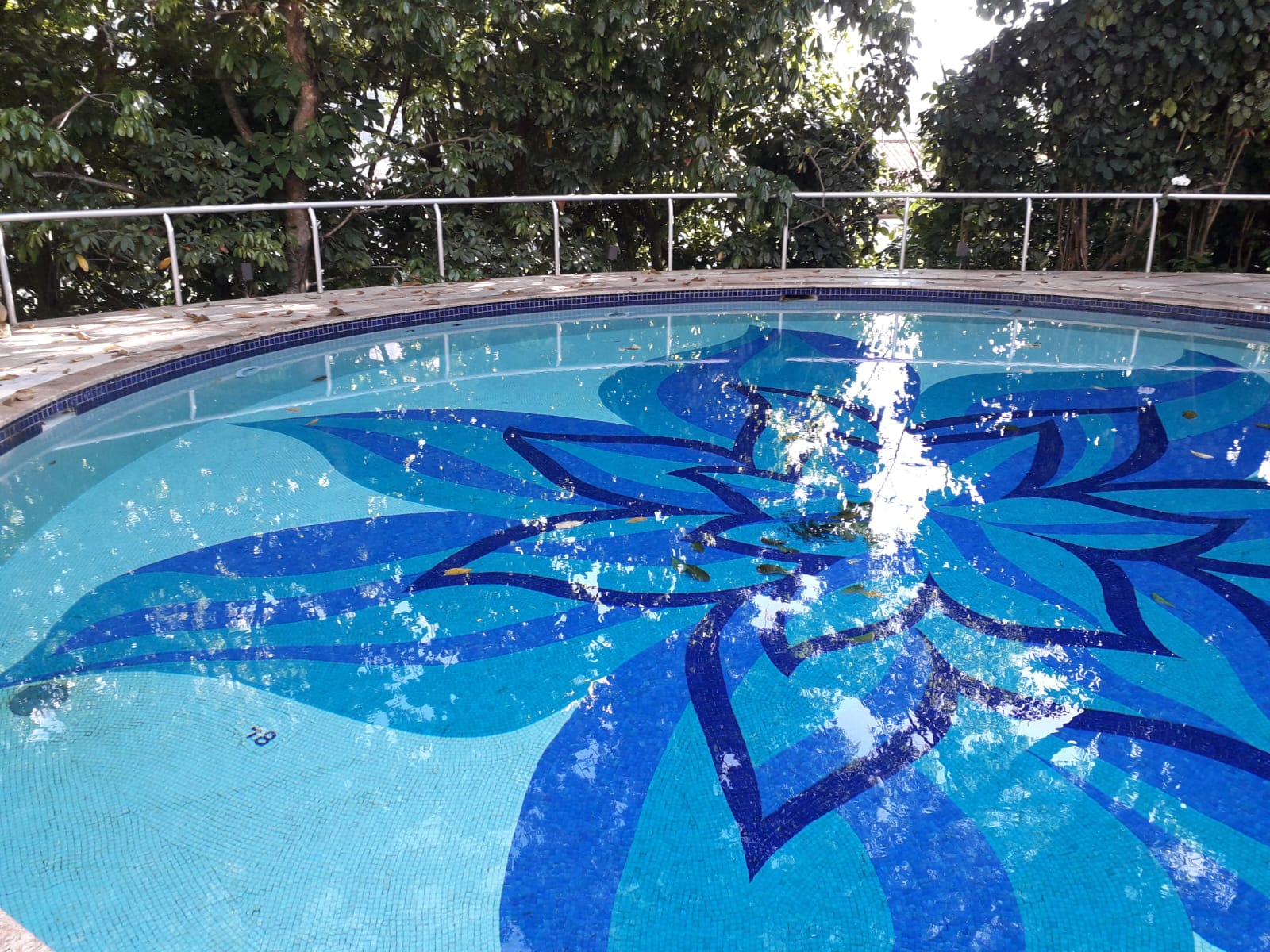 Serviço de manutenção de piscinas e reformas no recreio dos bandeirantes