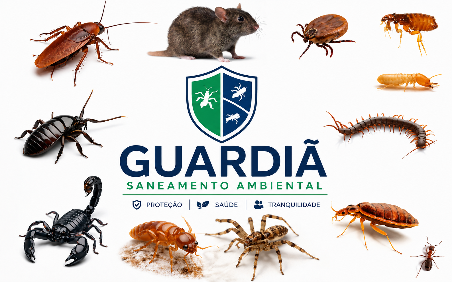 Aplicação de Gel pela Dedetizadora em Santa Cruz da Serra Duque de Caxias RJ