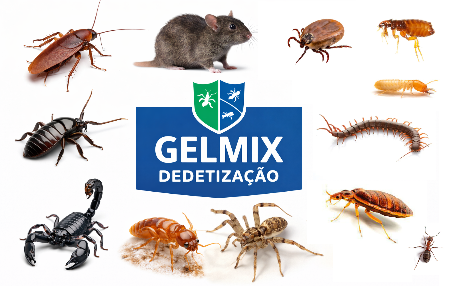 Serviço de Impermeabilização de Cisterna em Nova Iguaçu RJ